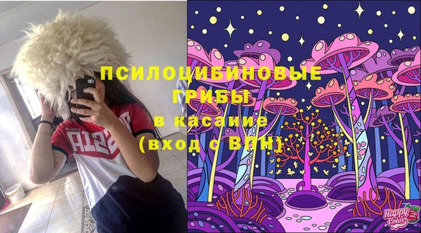 индика Липки