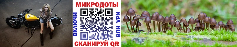 Галлюциногенные грибы MAGIC MUSHROOMS  darknet какой сайт  Домодедово 